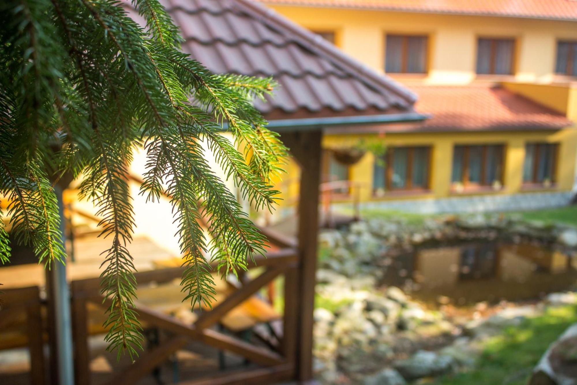 Hotel Dobry Klimat Szklarska Poręba Eksteriør billede